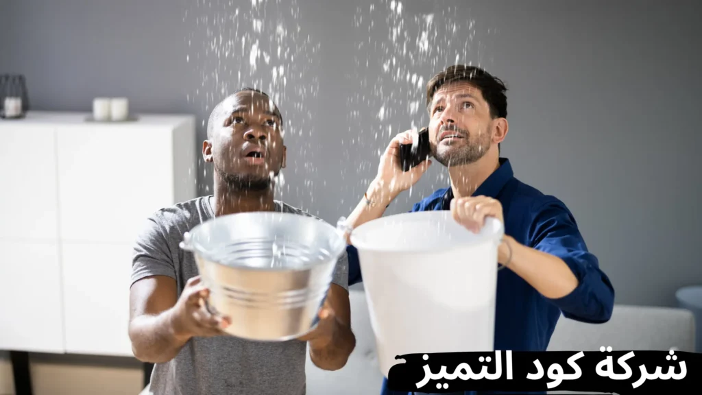 أفضل شركة كشف تسربات المياه بعسفان