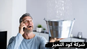 أفضل شركة كشف تسربات المياه بالقنفذة