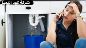 أفضل شركة كشف تسربات المياه بالمخوة